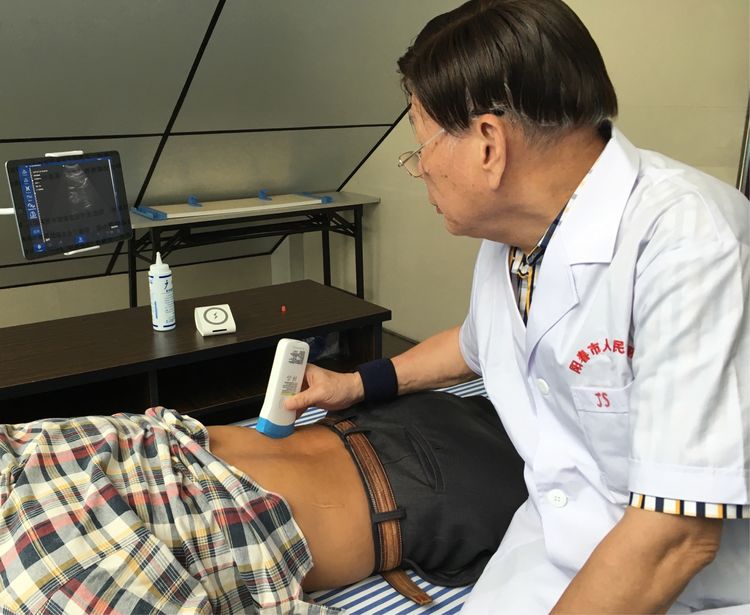 Application of Portable Imaging Technology by Handheld Ultrasound Manufacturers in Primary Care and Application of Portable Imaging Technology by Handheld Ultrasound Manufacturers in Primary Care and